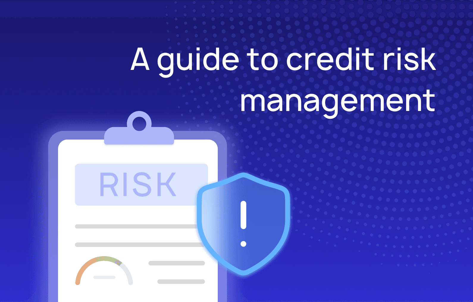 Credit risk management: A guide for modern credit providers